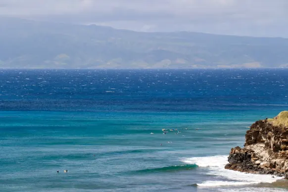 카지노 투 팻 레이디스 빙고 지원